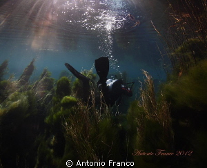 Dive into the Chidro River.
Natural light by Antonio Franco 